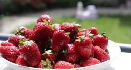 Strawberries fb